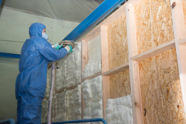 Best Home Insulation Services  in Beaver Creek, TX
